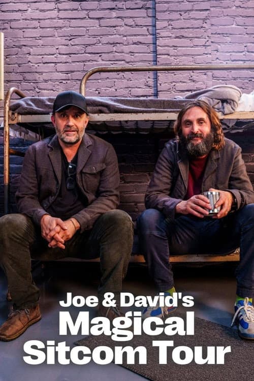 Joe & David's Magical Sitcom Tour poster
